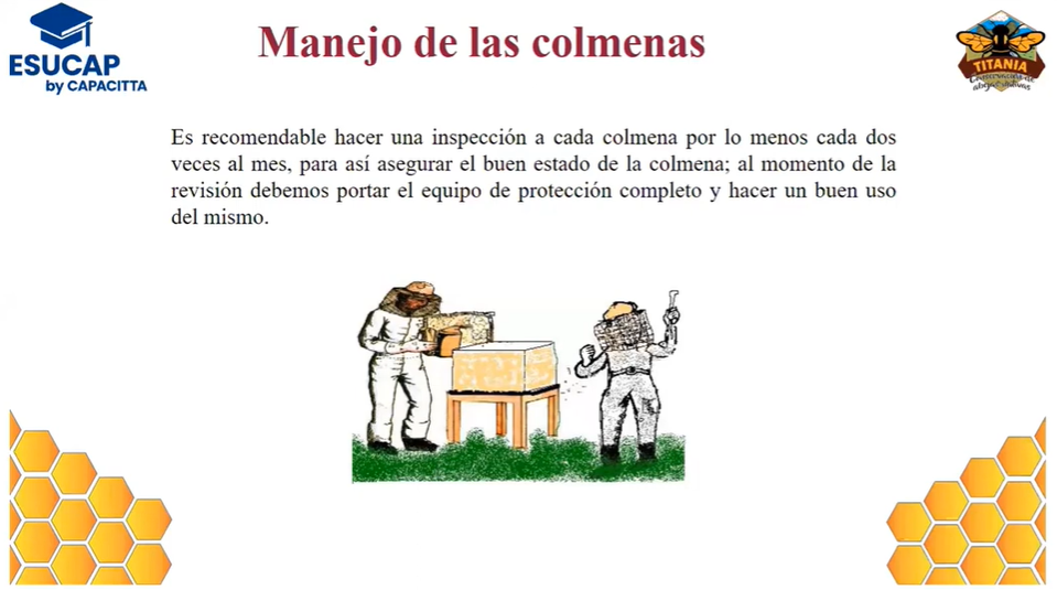 Técnicas de Manejo de Colmenas